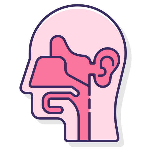 ENT Icon