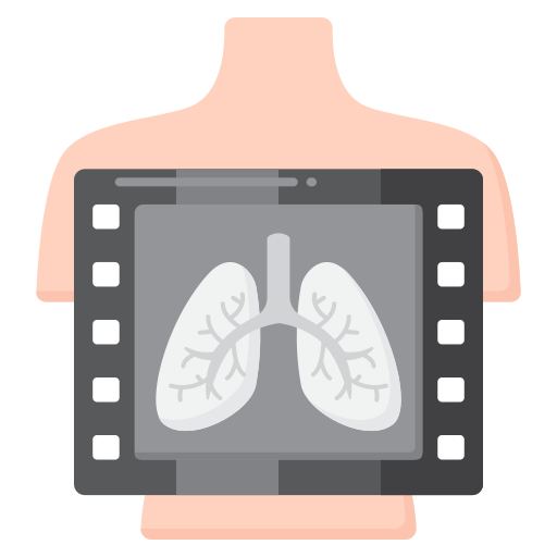 X-ray Icon